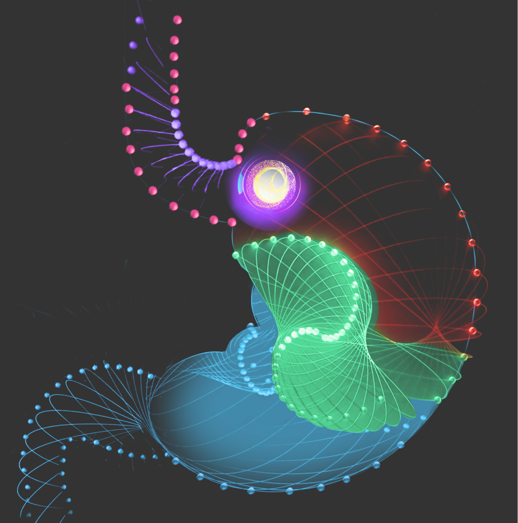 Схема желудка во время действия препарата РАЗО