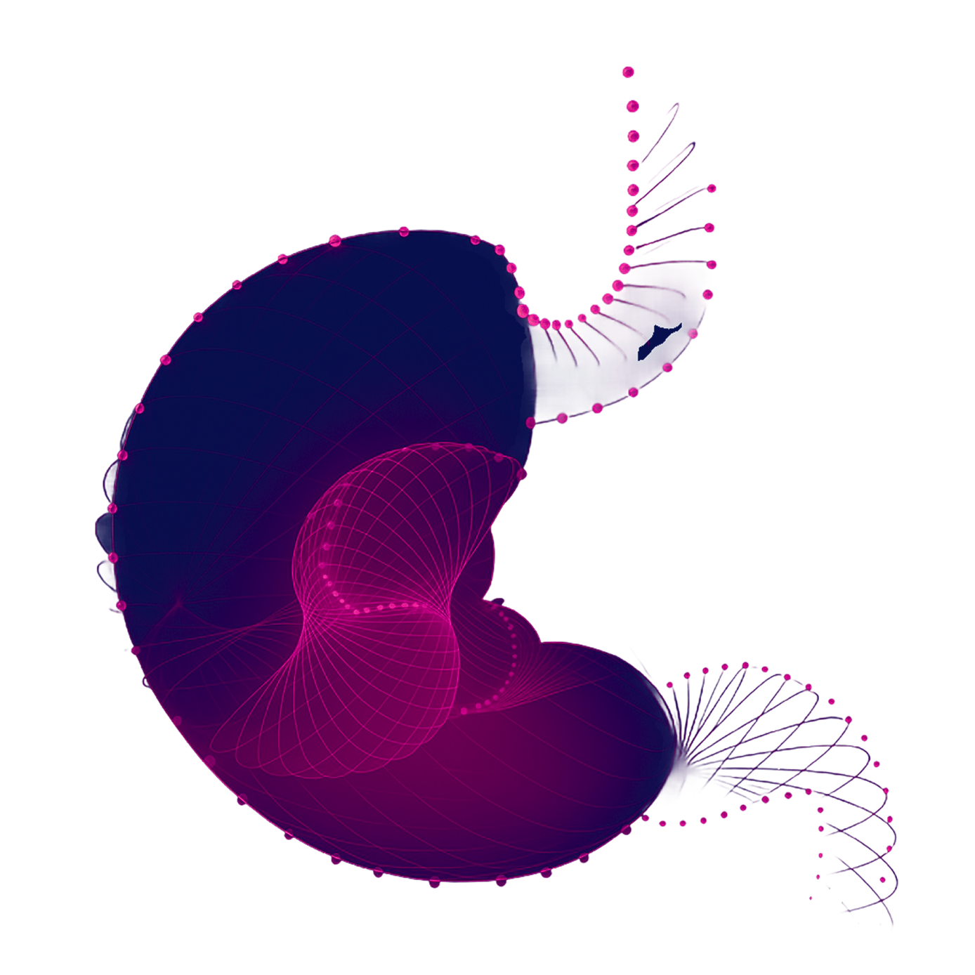Голограмма желудка